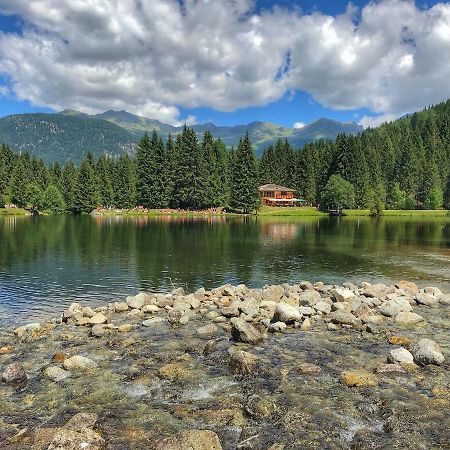 Apartmán Casa Matteotti Mezzana Trentino Exteriér fotografie